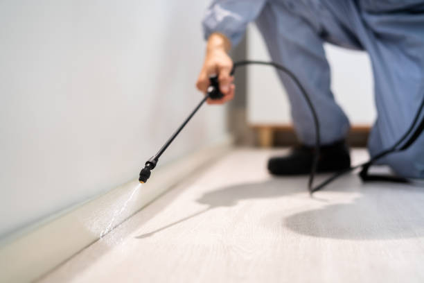 Licensed Termite Control service in Bruce, MS - Nex Pest Control