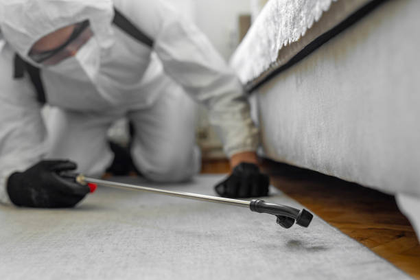 Professional Termite Control technician working in Bruce, MS