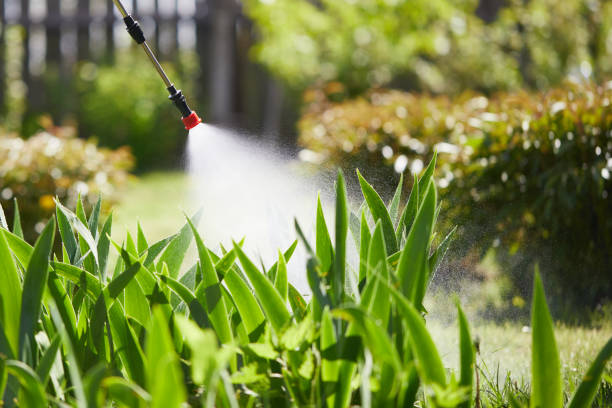 24/7 Emergency Termite Control experts in Bruce, MS