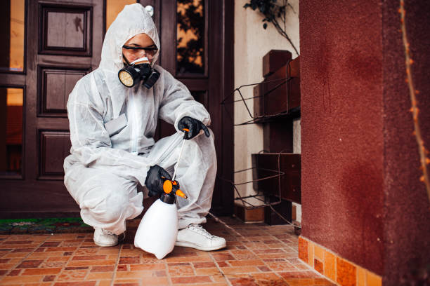 Reliable Termite Control contractor in Bruce, MS by Nex Pest Control