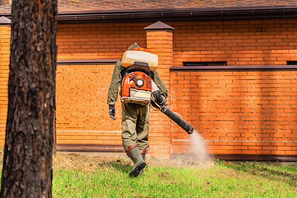 Top rated local Termite Control specialists in Bruce, MS